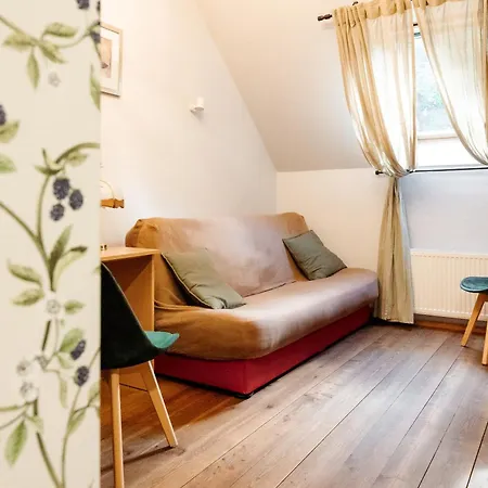 ベッド・アンド・ブレックファスト Dom Potok カルパッチ