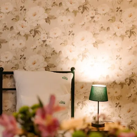 Bed & Breakfast Dom Potok 3*