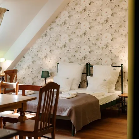 Dom Potok カルパッチ