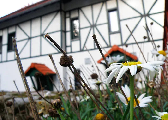 Bed and breakfast Dom Potok 3*